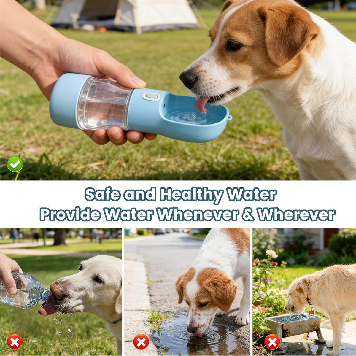 Portable Dog Water Bottle with Food Storage Container, Dishwasher Safe - Blue